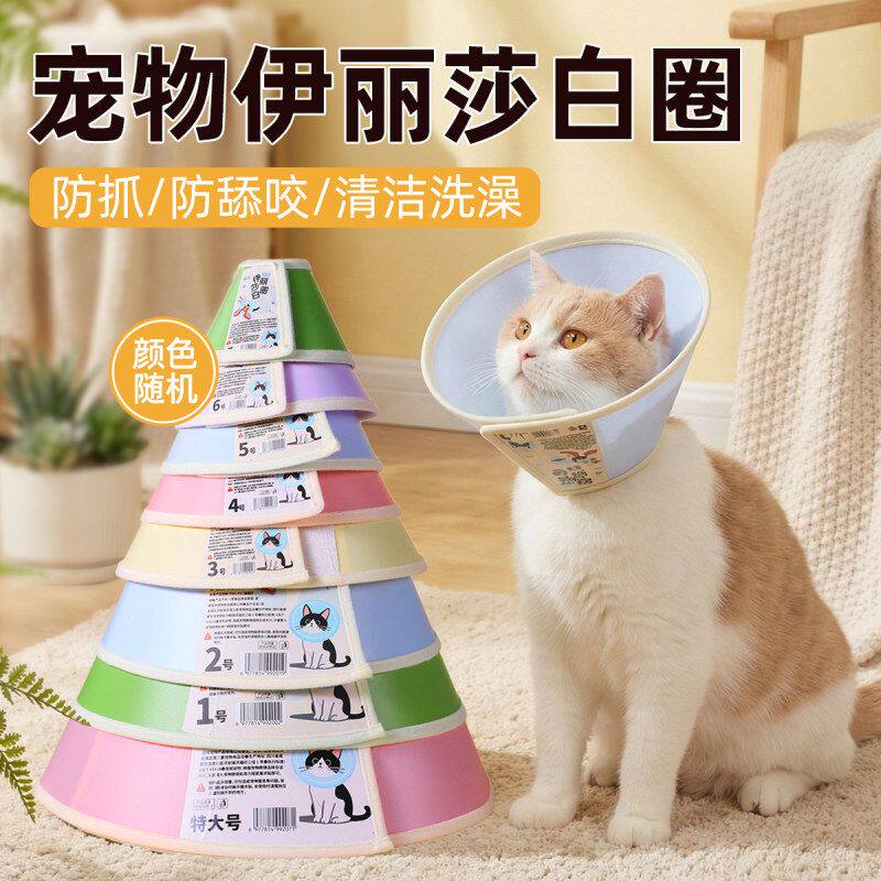 彩色糖果伊丽莎白圈大型犬防舔头更多日用品