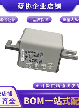 熔断器170M5108 170M5109 170M5110 170M5111 170M5112 170M5113