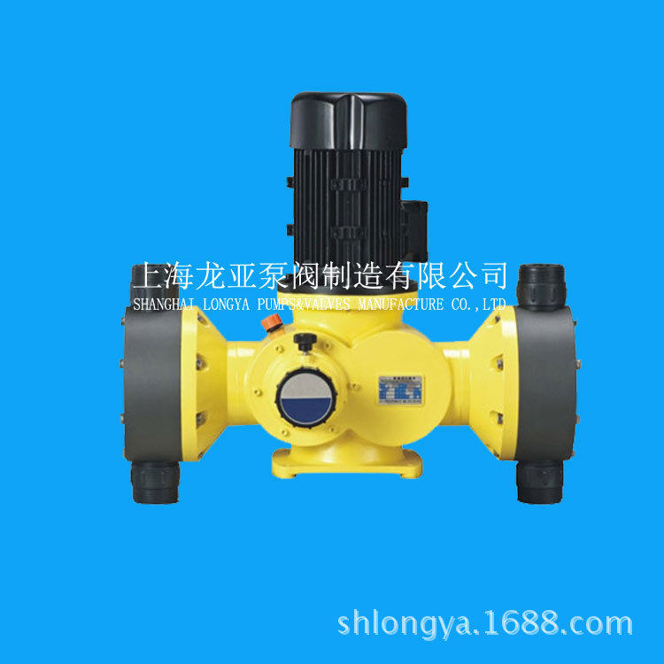 上海上海GB-S3000/0.3HCL比例泵 废水隔膜计量泵 电机驱动计量泵