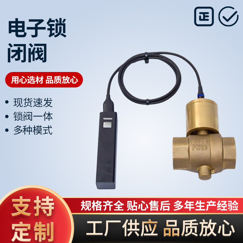 电子锁闭阀球阀暖气供暖防盗加密阀黄铜阀门开关双圈自来水表前