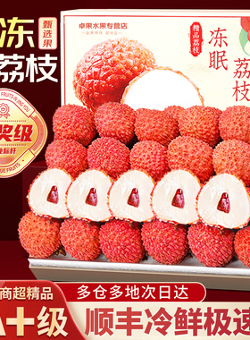 顺丰包邮 冻眠荔枝新鲜黑叶大荔枝冰冻冷冻鲜果水果10斤整箱当季