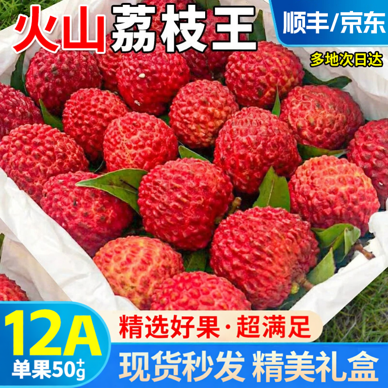 荔枝王超大 海南火山口荔枝王新鲜现摘现发非无核空运现货包邮