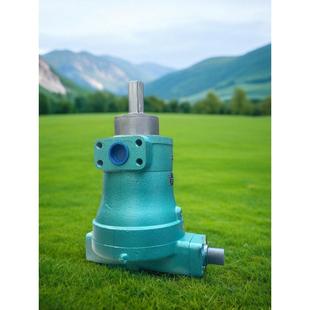 上海申福高压泵液压件有限公司10/25/40/63/80YCY14-1B轴向柱塞泵