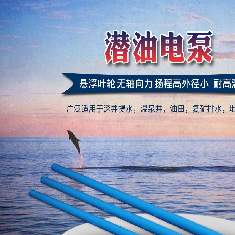 高扬程潜油电泵 1000米潜油泵  耐高温潜水小外径电泵