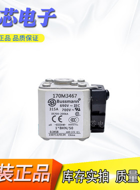 BUSSMANN巴斯曼快速熔断器/保险丝 断路器170M6110 170M6111 电容
