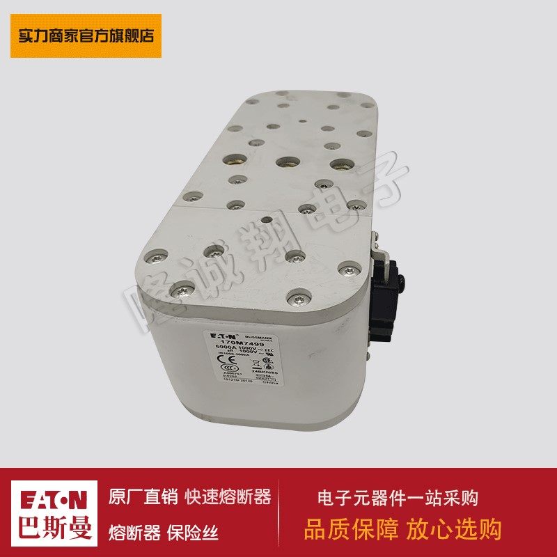 熔断器170M7260 170M7481 170M7489 170M7491 170M7499 170M7500