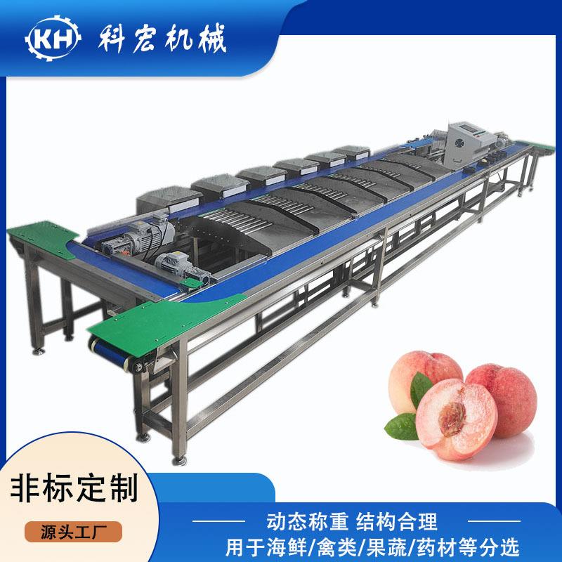 无损分选秋月梨油桃榴莲无损重量分选猕猴桃西瓜智能重量分拣