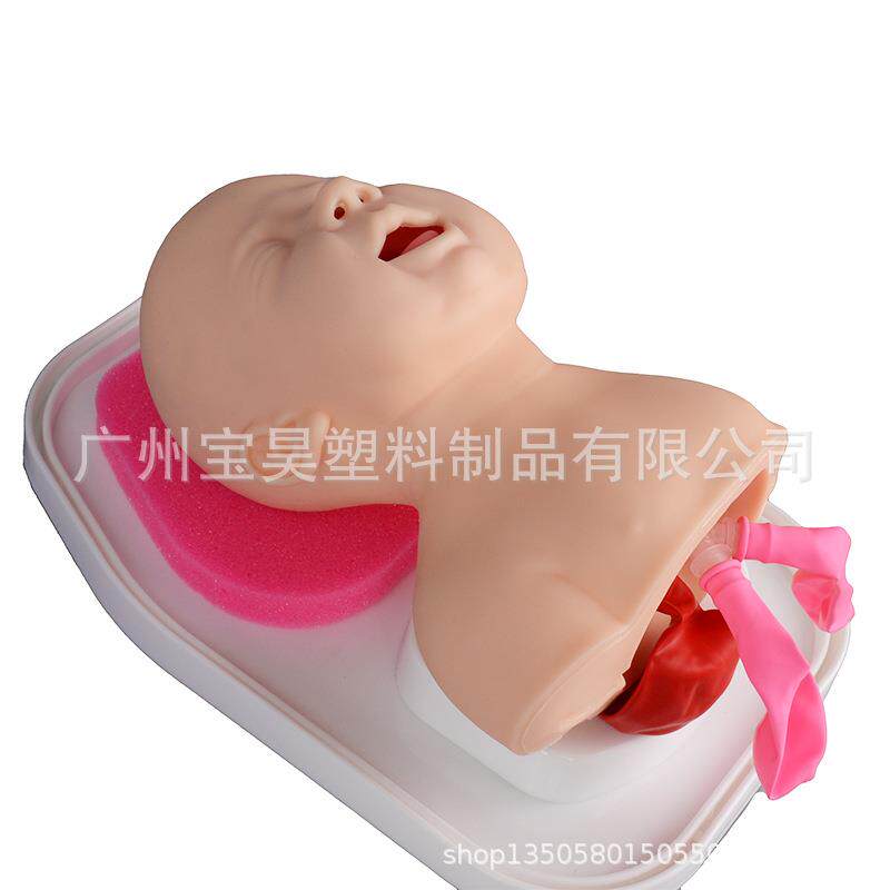 婴儿插管模型婴儿气管插管模型新生儿气管插管训练模型