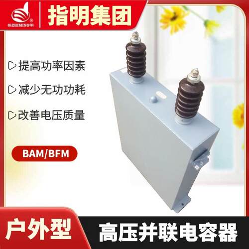 指明集团单相高压电力电容器BFM11-100-1W高压并联电容器