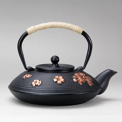 800ml扁壶精美外贸款铁壶铸铁茶壶烧水泡茶养生茶壶茶具