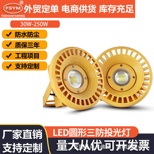 led三防灯投光灯50W100W200W仓库加油站厂房矿用酒窖煤矿山洞隧道