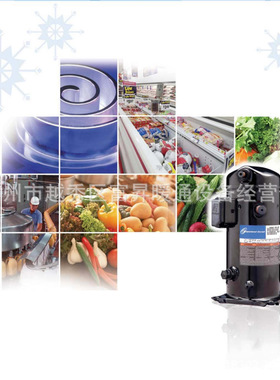 R404a冷媒低温冷库机组用涡旋式制冷压缩机ZF24K4E-TWC-231