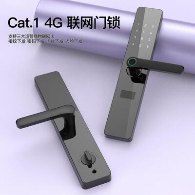 4G联网锁Cat.1智能物联网公租房锁公寓密码锁校园锁API开放可二开