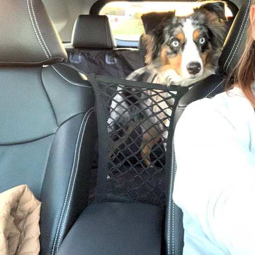 好货New pet isolation net Dog Car protection net vehicle ant