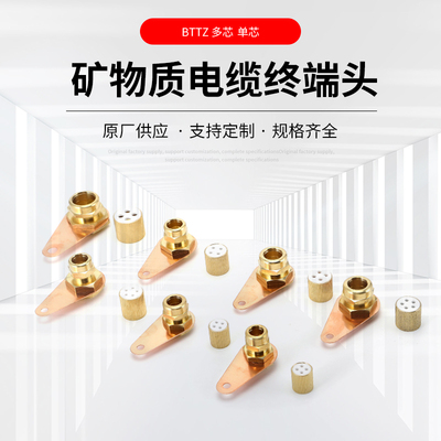 矿物质电缆终端头BTTZ整套终端线耳铜鼻子密封胶热缩管配件全套