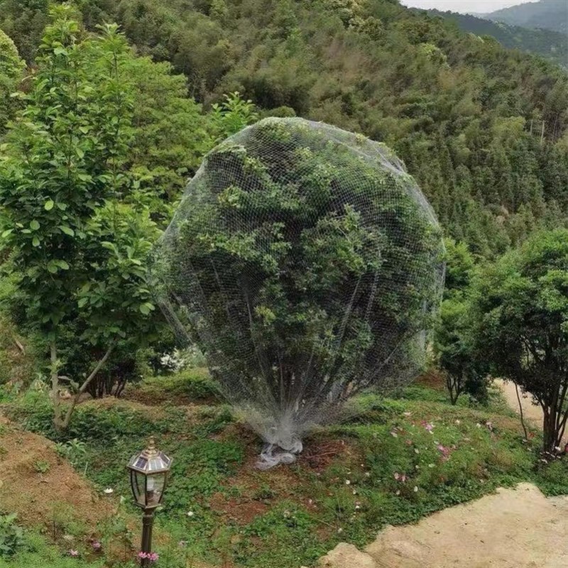 嘉宝果树网果园罩子杨梅樱桃树网子保护网围网防鸟纱网驱鸟用的