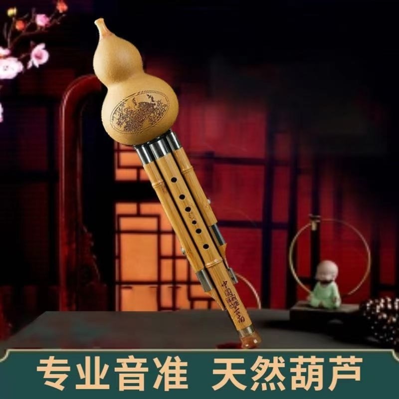 葫芦丝树脂c调初学者降b调乐器儿童小学生仿红木套装专业演奏型的