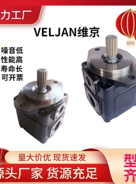 VELJAN维京VT6CCW-028-010-2R11-C1-00-PB环卫车垃圾压缩站叶片泵