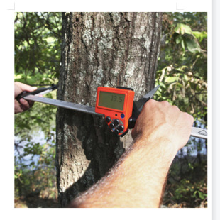 河北泛胜MD II液晶屏电子测径仪