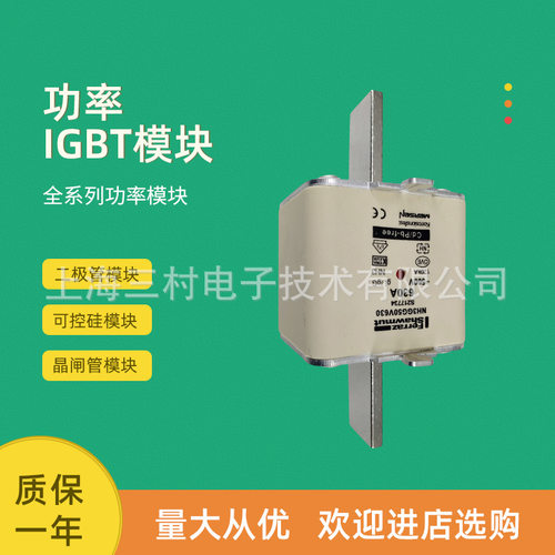 全新熔断器保险丝NH0UD69V250PV A320275 NH0UD69V315PV E320279