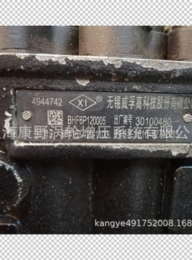 喷油泵4944742 6P1168 和 3966597 10403566087和 4915791 6P1175