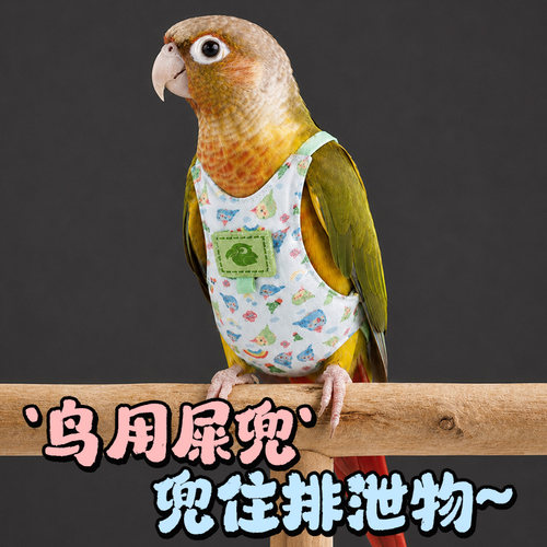 啾星人鹦鹉鸟罩舒适不勒防侧漏