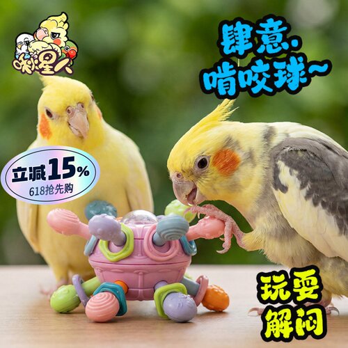 啾星人鹦鹉啃咬玩具球娱乐解闷