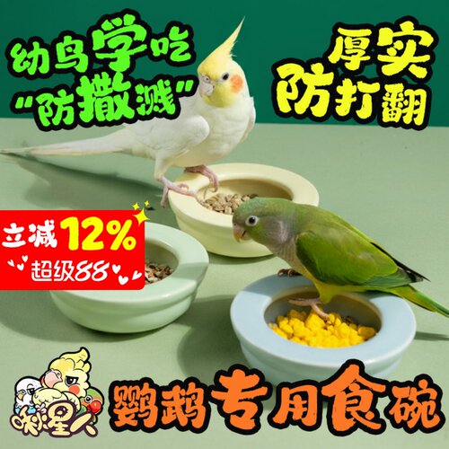 啾星人鹦鹉食盒陶瓷牡丹幼鸟学吃