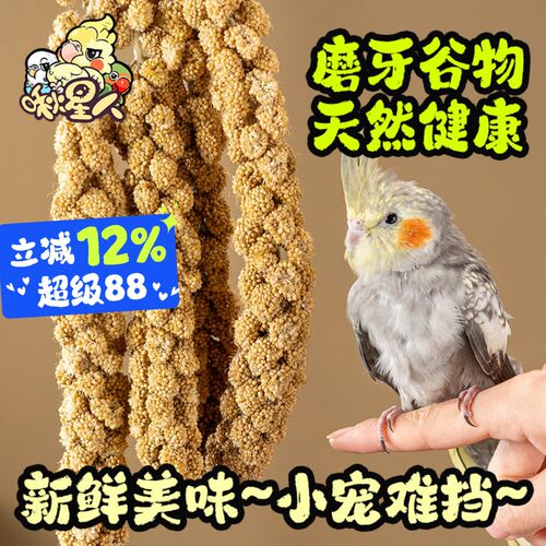 啾星人宠物天然谷穗鸟食营养爱吃