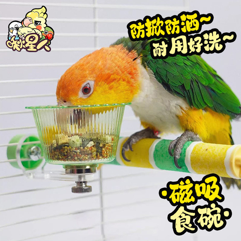 磁吸式鹦鹉喂食盆悬挂食碗防叼翻牡丹玄凤和尚食盒水碗鸟用喂食器