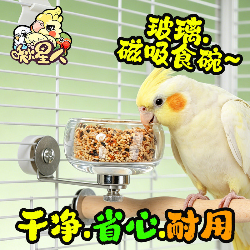 鹦鹉喂食碗玻璃大号防溅食盆和尚小太阳专用防打翻磁吸式鸟用品