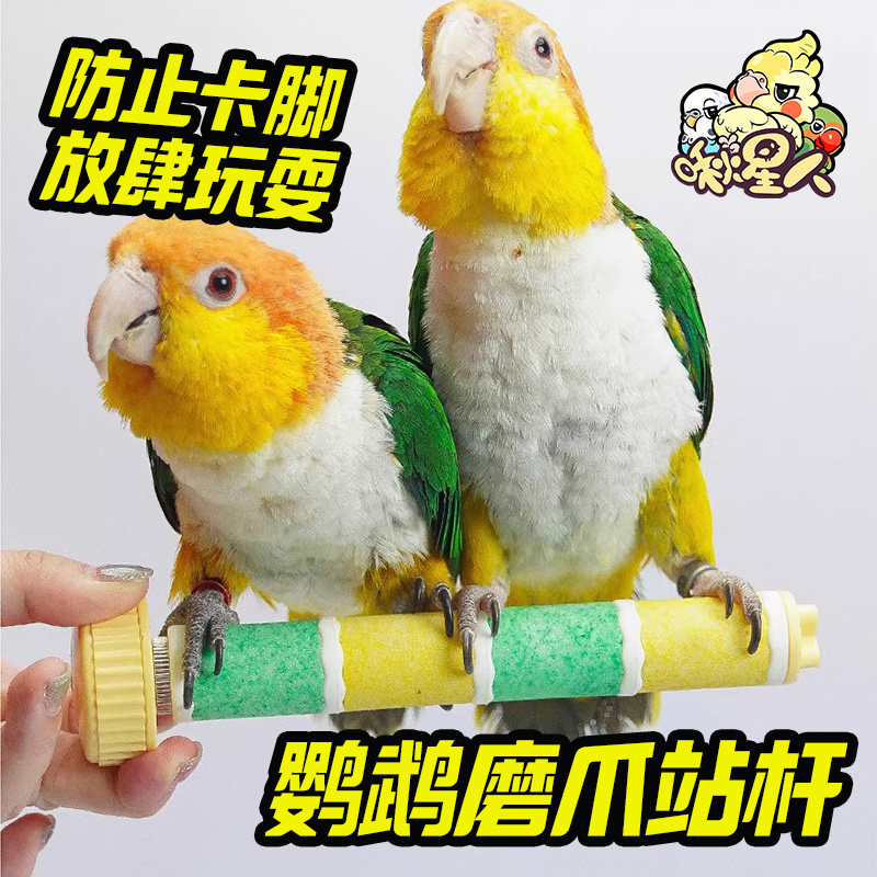 鹦鹉磨砂站杆磨爪磨嘴站台虎皮玄凤和尚小太阳站架鸟笼配件,宠物/宠物食品及用品,鸟类站杆,淘宝优惠券,粉丝福利购,淘宝优惠卷