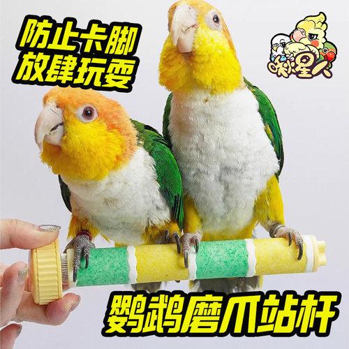 啾星人鹦鹉磨爪站杆站棍磨爪玩具