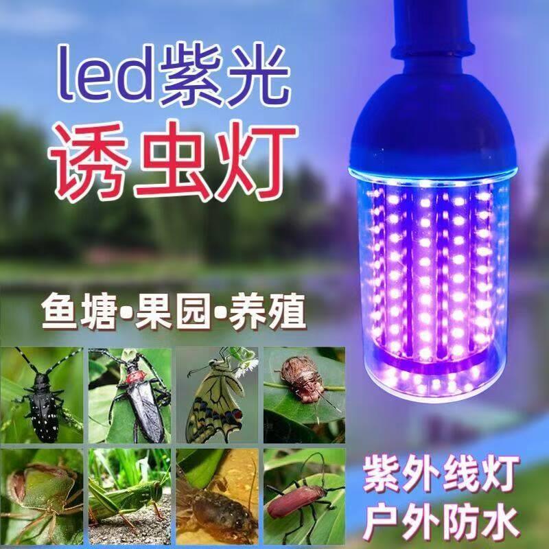 led诱虫灯诱捕金龟子蝼蛄鱼塘养殖果园种植接电瓶车365nm紫光灯泡