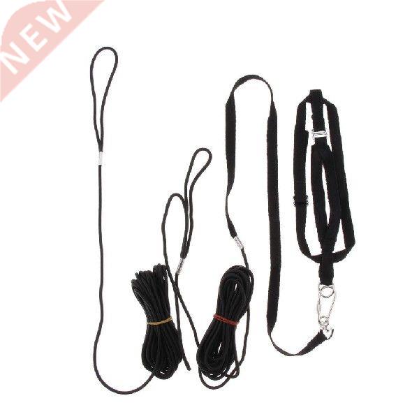 极速1x justable Bird Harness Leash Training Rope Outdoor