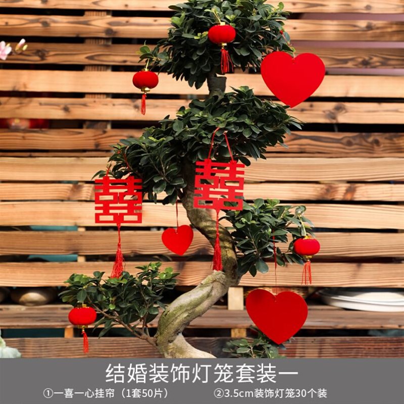 Nxew Year lantern NIew Years Day event decorative ornamen