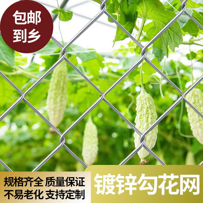 镀锌勾花网铁丝网养殖隔离防护网户外足球场围栏护栏网体育围栏网