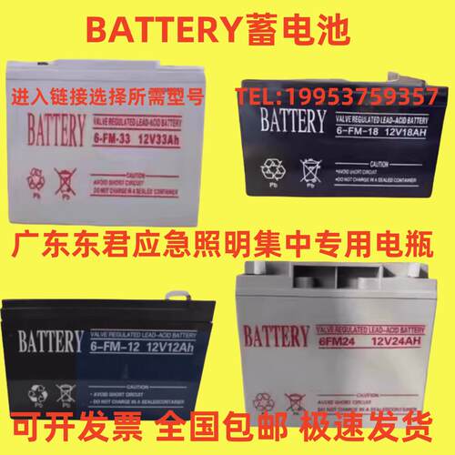 BATTERY蓄电池 6-FM-33 12V33AH9AH12A18A24A55AH应急照明36V电瓶