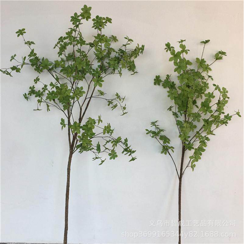 仿真多瓣叶仿真树叶四星草叶绿植影视拍摄吊钟道具家居仿真花