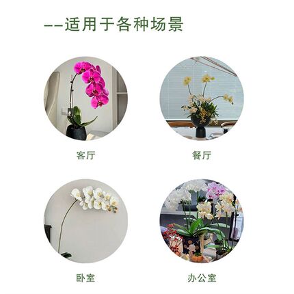 直播专拍链接