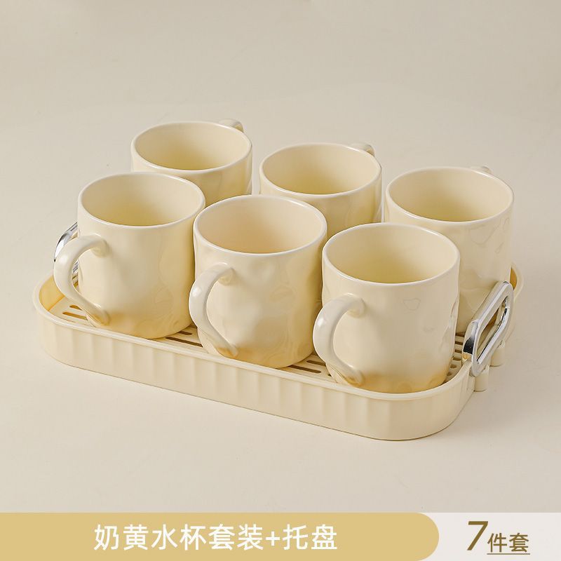 水杯家用套装客厅待客陶瓷杯子现代轻奢高级感杯茶具杯具家庭杯子