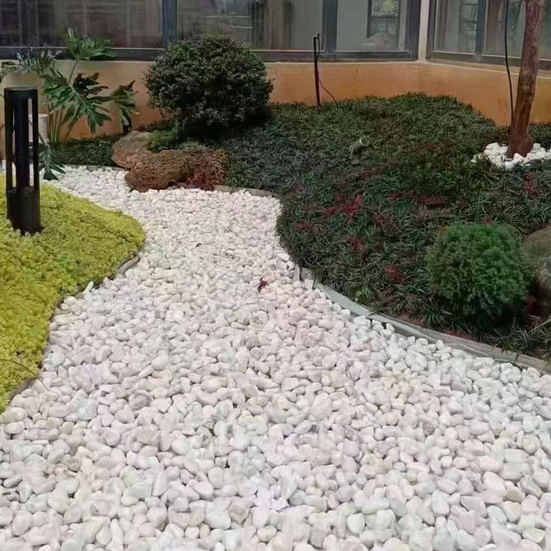 厂家批发白石子白色石头园艺石头白色鹅卵石白米石砾石
