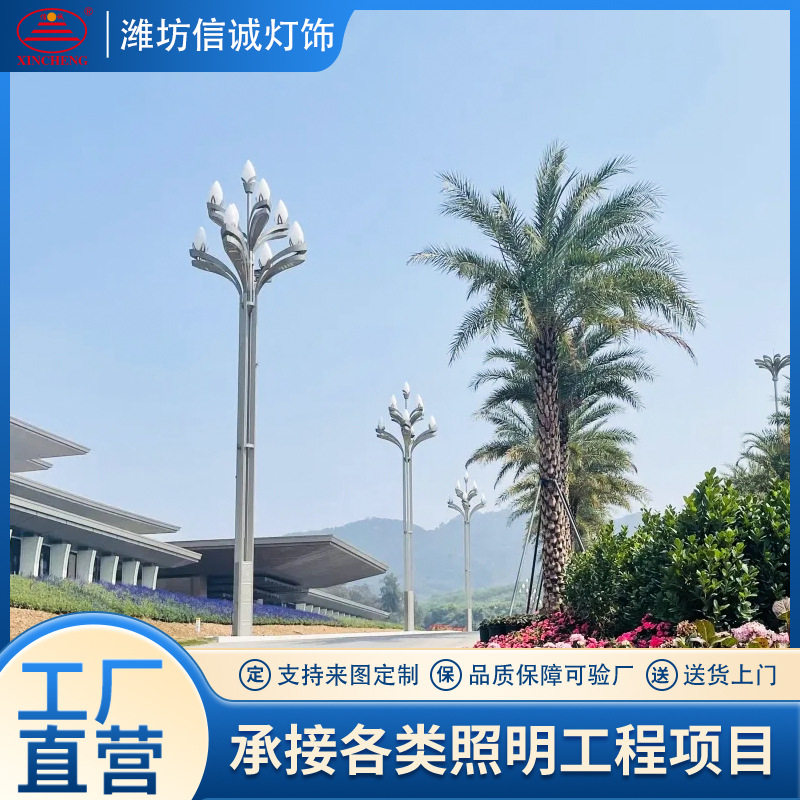 小区道路户外锥形灯杆新农村防潮锥形灯杆太阳能挑臂双头灯杆