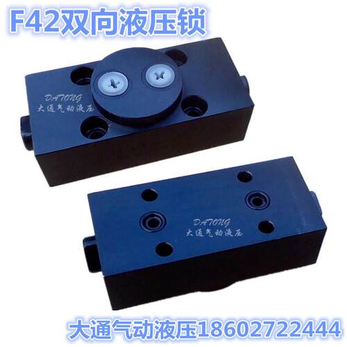 F42双向液压锁THJX-2S04-H10B