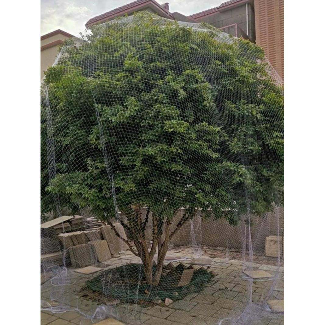 果树防鸟网罩水果嘉宝果葡萄樱桃无花果枇杷单棵专用遮树网神器,鲜花速递/花卉仿真/绿植园艺,智能园艺用品,淘宝优惠券,粉丝福利购,淘宝优惠卷