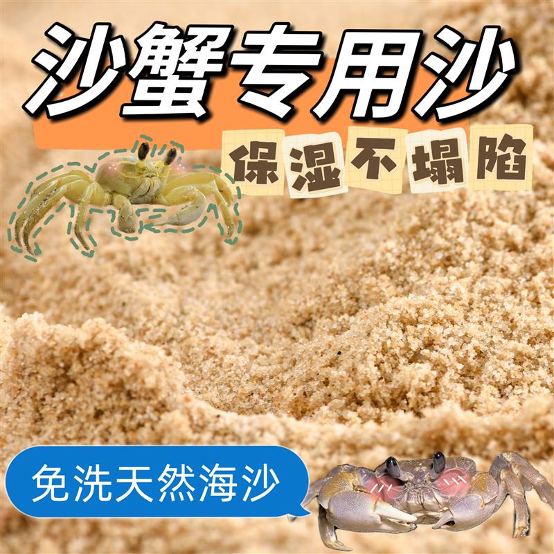 沙蟹专用沙天然免洗海沙螃