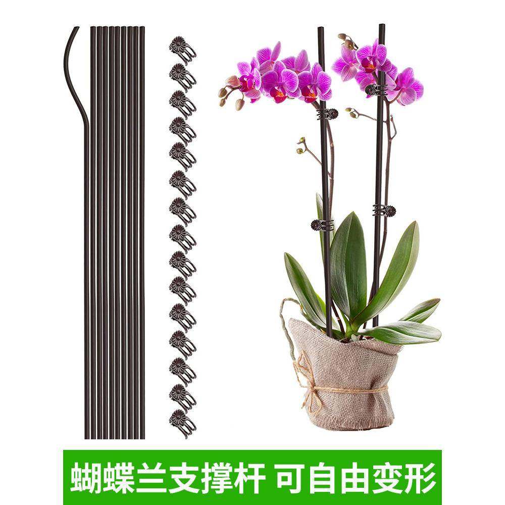 蝴蝶兰支架花夹子支撑杆花卉专用架子盆架铁丝造型爬藤园艺固定夹,鲜花速递/花卉仿真/绿植园艺,花架,淘宝优惠券,粉丝福利购,淘宝优惠卷