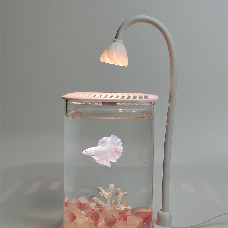 迷你玻璃鱼缸圆角方缸桌面