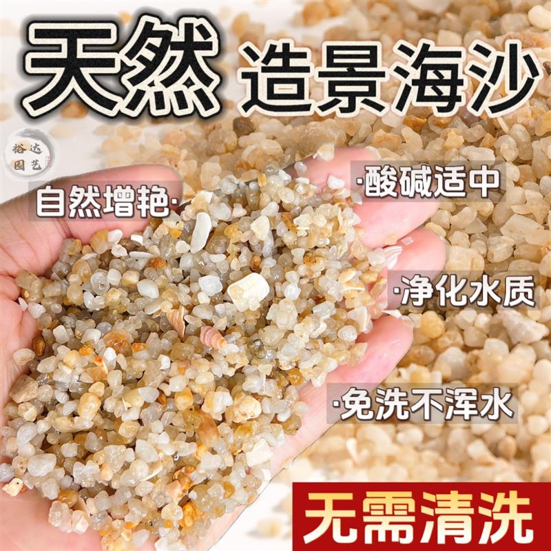 免洗鱼缸底砂天然水洗海沙
