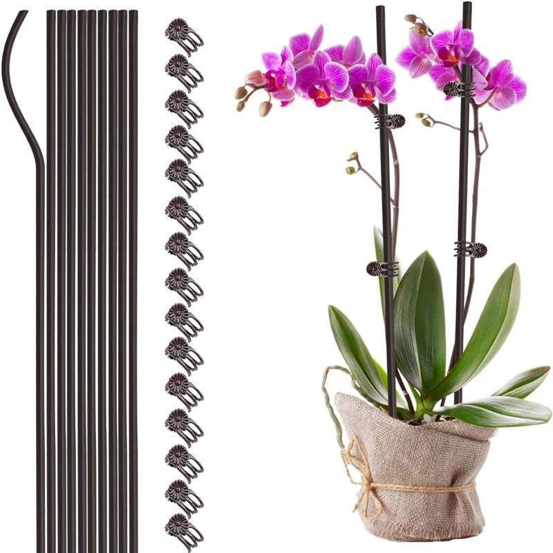 蝴蝶兰支架支撑杆造型架子园艺花卉花枝夹子蔓藤爬藤植物固定夹子,鲜花速递/花卉仿真/绿植园艺,花架,淘宝优惠券,粉丝福利购,淘宝优惠卷